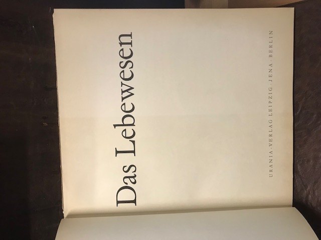 Das Lebewesen- Der Mensch und Das Leben 