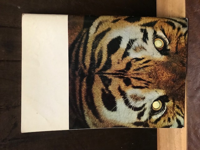 Panthera, Mitteilungen aus dem Zoologischen Garten