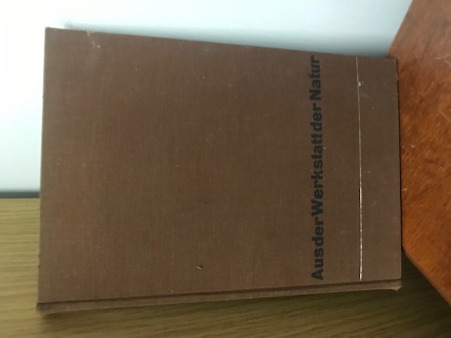Aus der Werkstatt der Natur, Drechsler