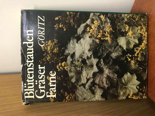 Blütenstauden Gräser Farne, Göritz