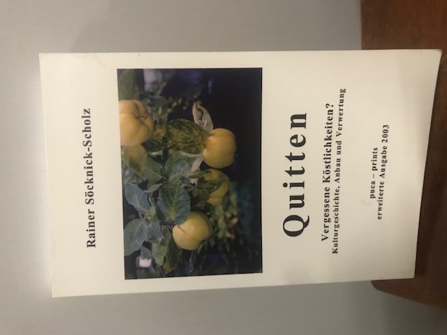 Quitten, Söcknick-Scholz