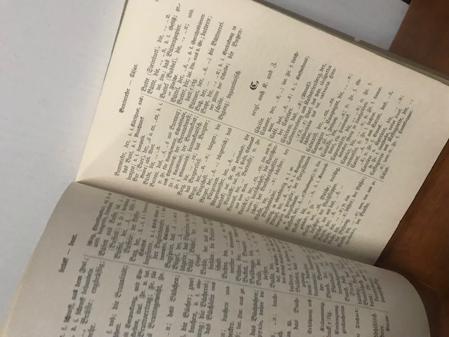 Wörterbuch für die deutsche Rechtschreibung, 1902