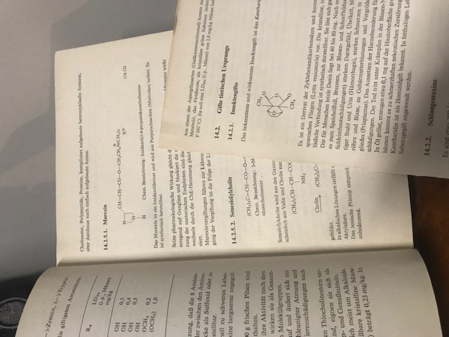 Lehrbuch der Militärchemie,  Band 2