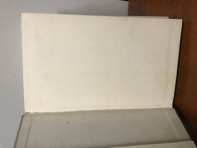 Die Bilder des Zeugen Schattmann, Edel