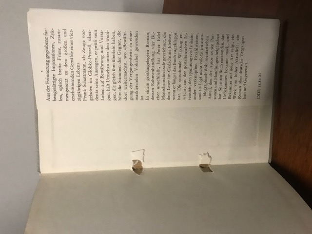 Die Bilder des Zeugen Schattmann, Edel