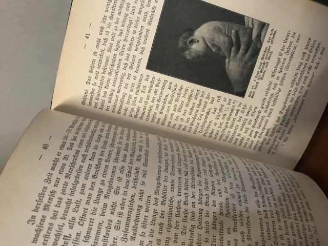 Naturgeschichte des Kindes, Dekker