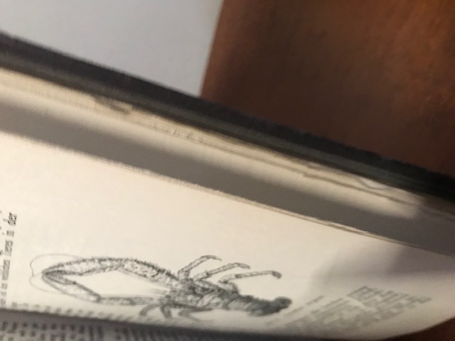 Aus dem Liebesleben der Tiere, Schrader