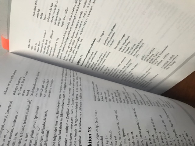 Lumina nova, Begleitgrammatik + Lernvokabeln