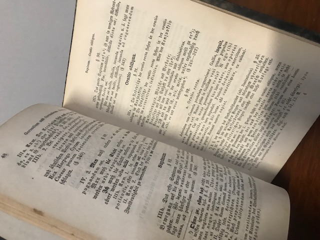 Hauptregeln Lateinische Syntax 1881
