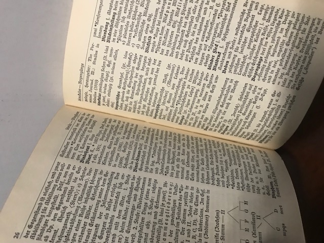 Psychologisches Wörterbuch, Giese