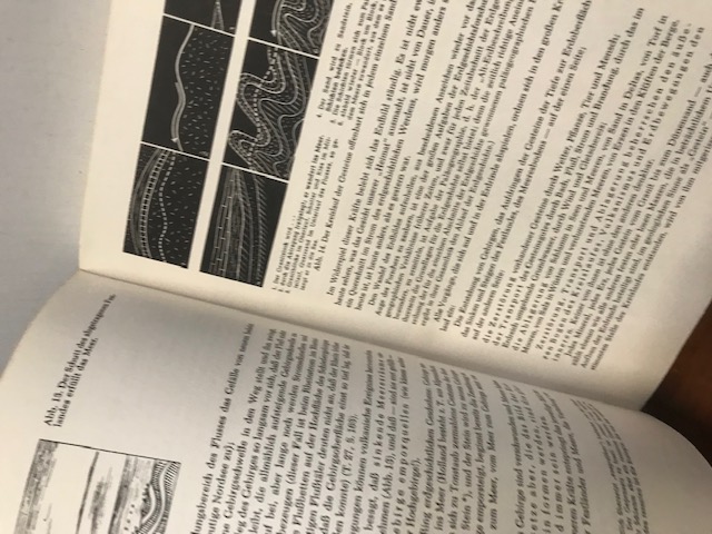 Geologie für Jedermann, Bülow
