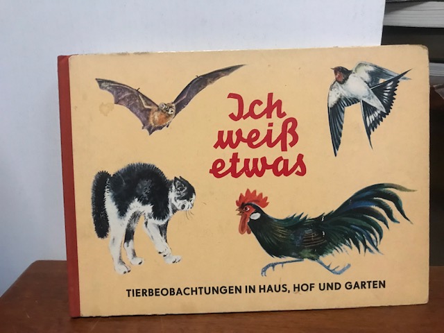 Ich weiß etwas-Tierbeobachtungen