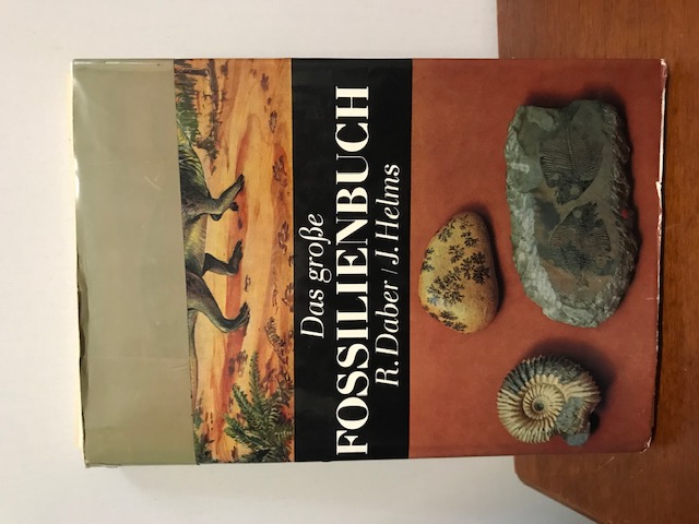 Das große Fossilienbuch, Daber