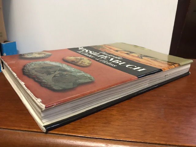 Das große Fossilienbuch, Daber