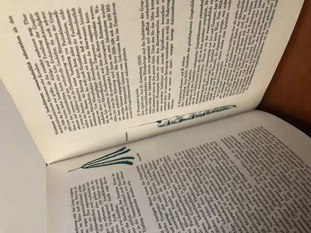 Das große Fossilienbuch, Daber