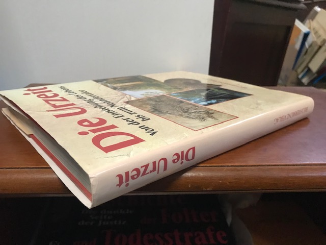 Die Urzeit, Von der Entstehung des Lebens bis zum 