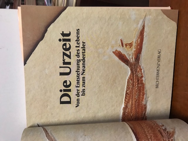 Die Urzeit, Von der Entstehung des Lebens bis zum 