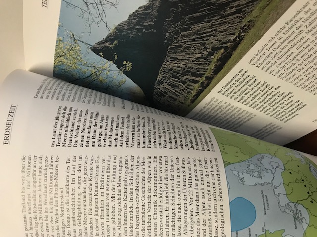 Die Urzeit, Von der Entstehung des Lebens bis zum 
