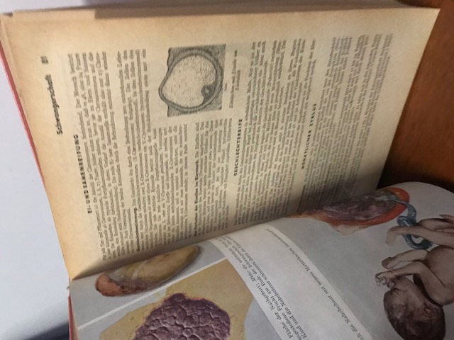 Kleine Enzyklopädie, Die Frau 1960