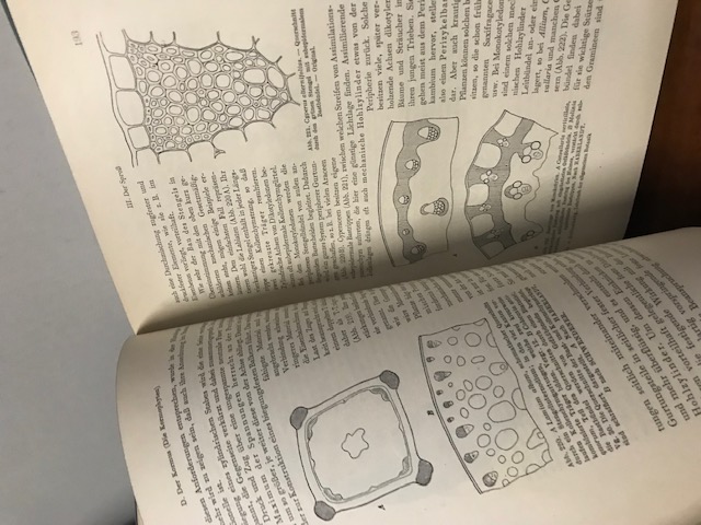 Lehrbuch der allgemeinen Botanik, Guttenberg