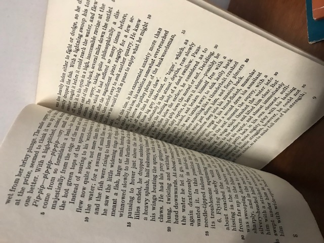 The law of the Wilderness, Roberts