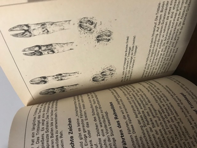 Fährten, Spuren, Geläufe, Schumann