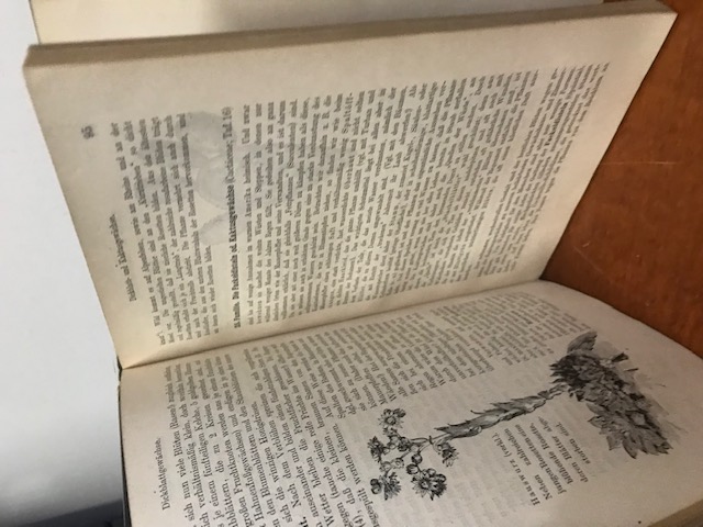 Lehrbuch der Botanik, Schmeil 1909
