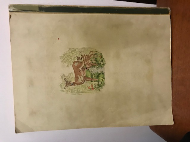 Aus Wald und Flur,  Nöldner