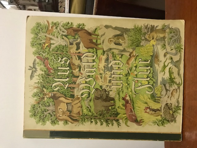 Aus Wald und Flur,  Nöldner