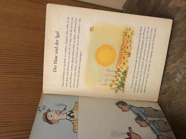 Der Hase und der Igel, Kinderbuchverlag