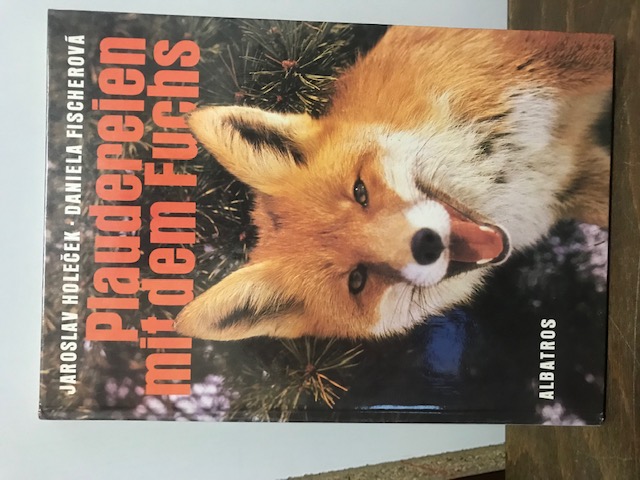 Plaudereien mit dem Fuchs