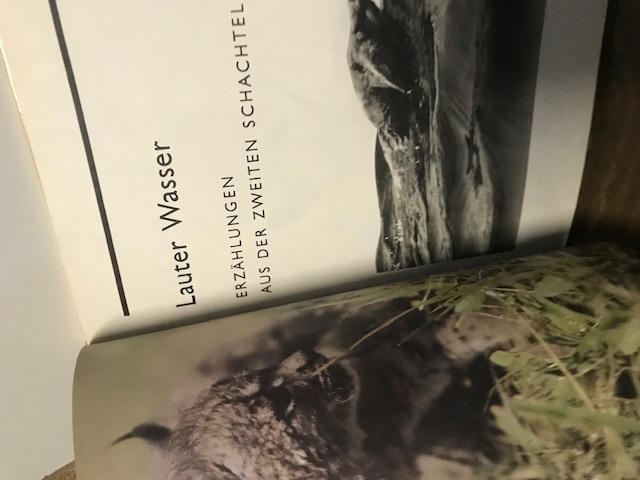 Plaudereien mit dem Fuchs