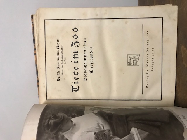 Tiere im Zoo, Meyer 1924