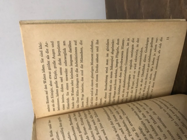 Kleines Bienenbuch, Chalifman