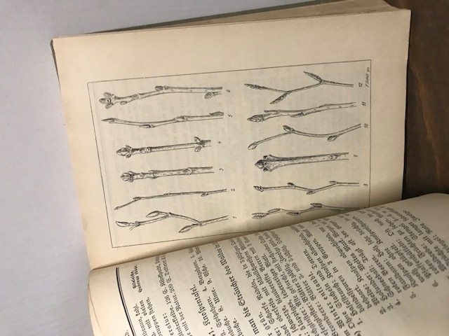 Naturkundliches Wanderbuch, Grupe 1933