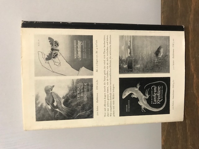 Buch der Lippenblüter, Weymar