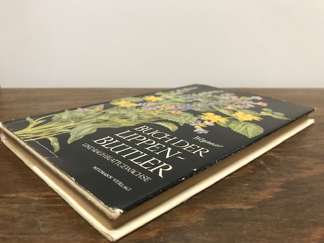 Buch der Lippenblüter, Weymar