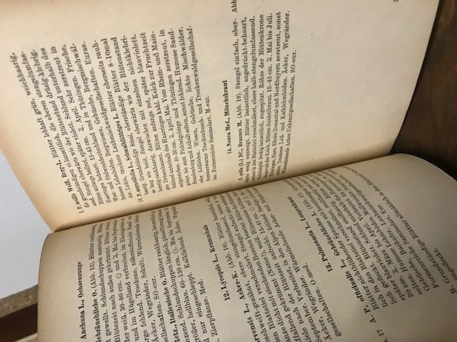 Buch der Lippenblüter, Weymar