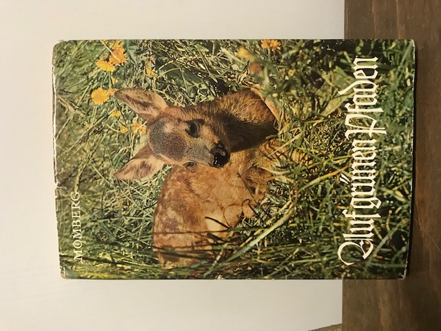Auf grünen Pfaden, Momberg
