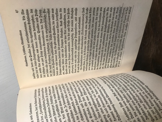Im Zauber des Tierlebens, 1926