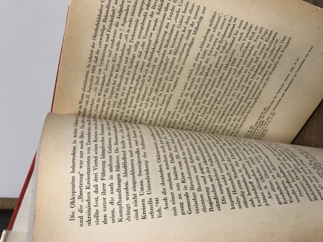 Militarismus gegen Sowjetmacht 1917-1919