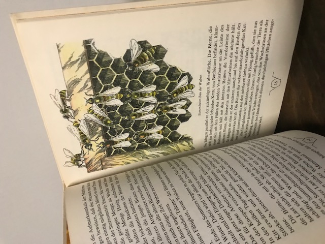 Kleines Bienenbuch, Chalifman 1981