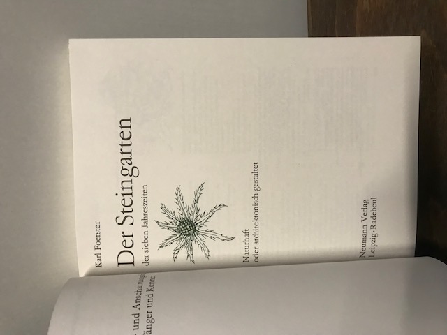 Der Steingarten der sieben Jahreszeiten, Foerster