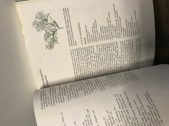 Der Steingarten der sieben Jahreszeiten, Foerster