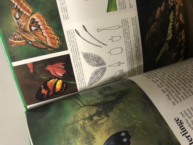 Das geheimnisvolle Leben der Tiere im Urwald