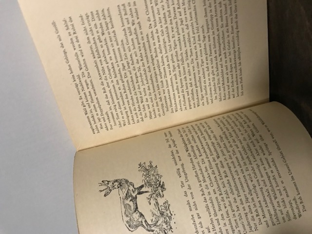 Der Taigajäger 1952