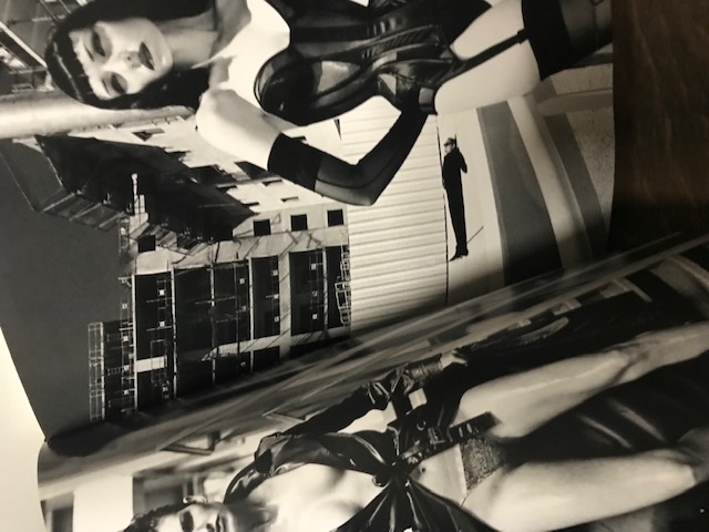 Helmut Newton Work