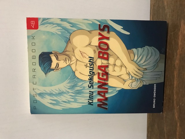 Postcardbook 48,Manga boys