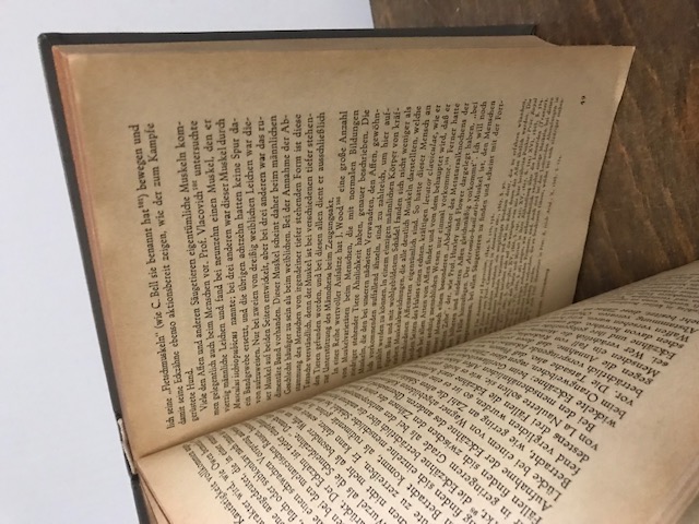 Die Abstammung des Menschen, Darwin
