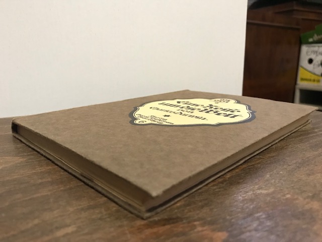 Eine Reise um die Welt, Darwin